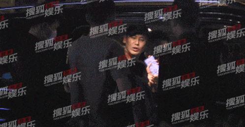 达鲁伊全部爆料视频大全,揭秘游戏幕后真相与精彩瞬间  第3张